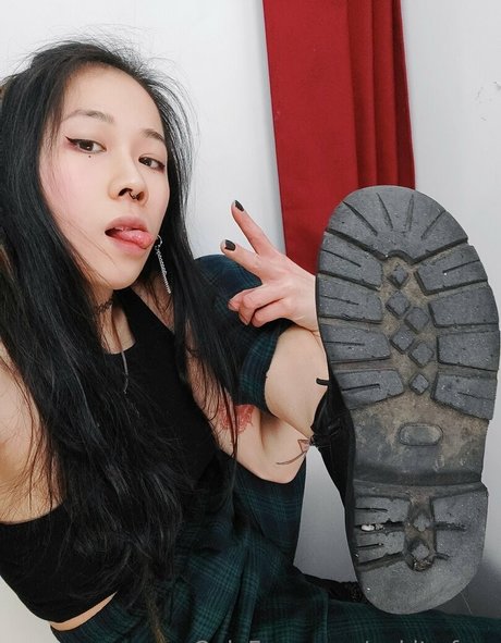 nakito free kostenlose perfekte foto