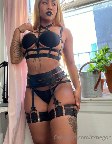 rxnegon beste pornostar archiv