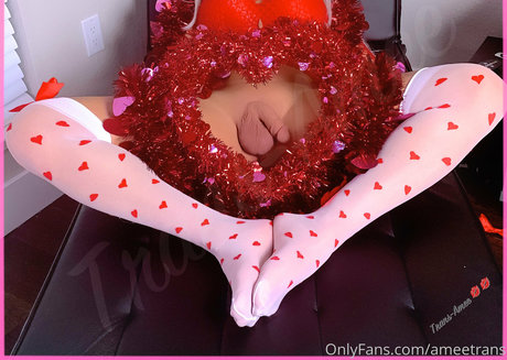 ameetrans erwachsene kunst galerie