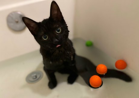 omankovivi xxx nackt foto