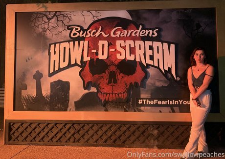 swallowpeaches pornostar freie foto