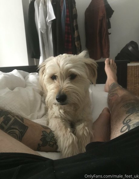 male feet uk exklusive akt bilder