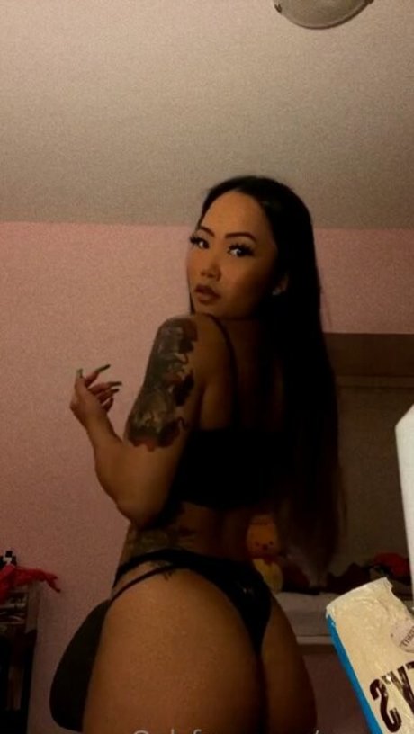 Ovnezz top schöne bild