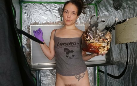 sexypsychedelic hd top archiv