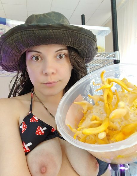 sexypsychedelic perfekte hübsche galerie