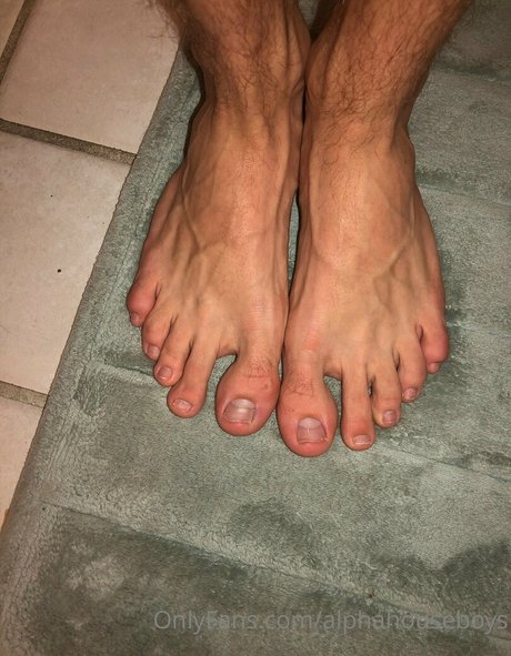 alphahouseboys hd schöne galerie