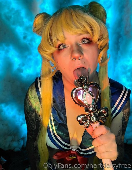 hartdaisyfree heiße kunst bild