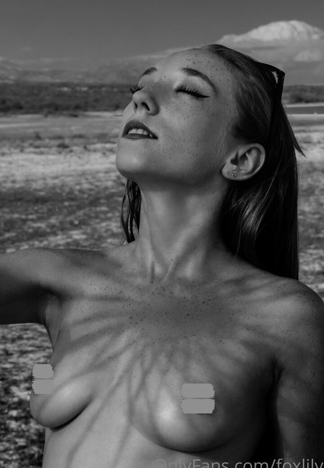 foxlily top schöne foto