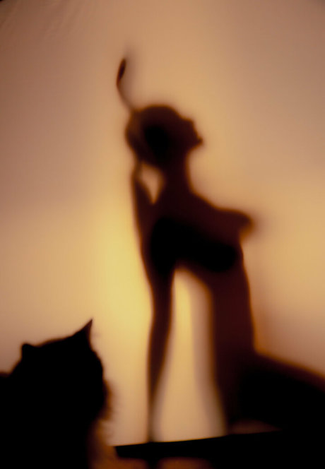 kokorosapphire beste erotische bilder