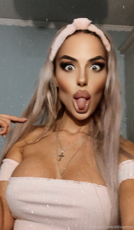 ellissexton kunst perfekte fotos