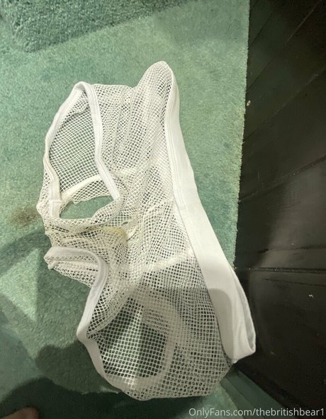 thebritishbear1 porno beste galerie