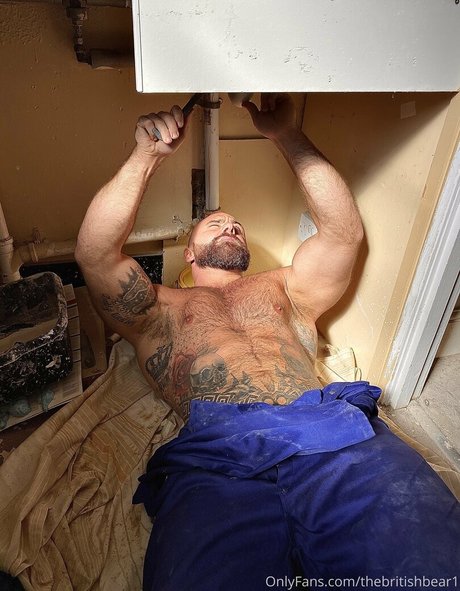 thebritishbear1 top erotische bilder