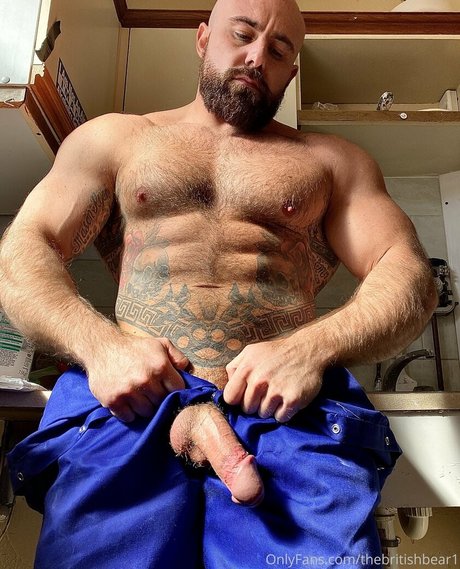 thebritishbear1 Profilbild