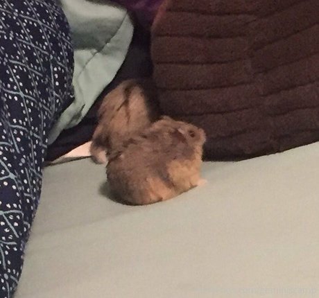 geminiscamp sexy galerie