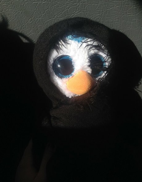 geminiscamp exklusive hd archiv