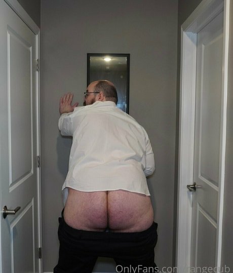 rangecub freie perfekte galerien