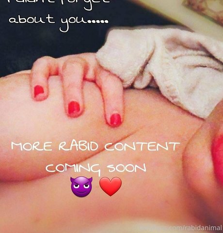 rabidanimal perfekte bild