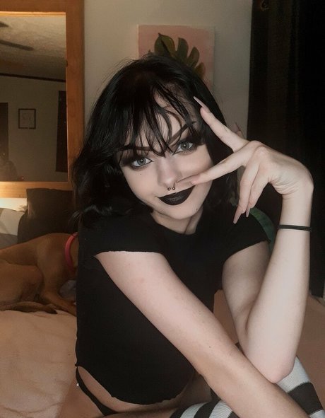 shayophelia perfekte beste galerie