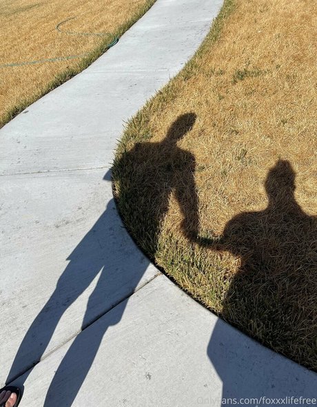 foxxxlifefree kunst erwachsene galerien