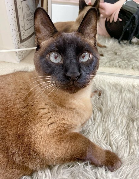 freebunbun hübsche nackt bilder