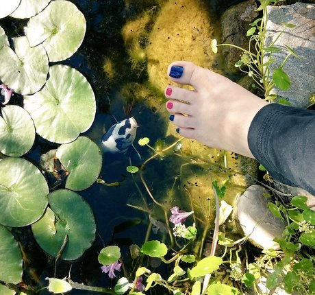 Ashley Soles pornostar heiße bilder