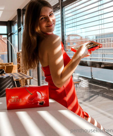 penthousekitchen erotische erwachsene galerie