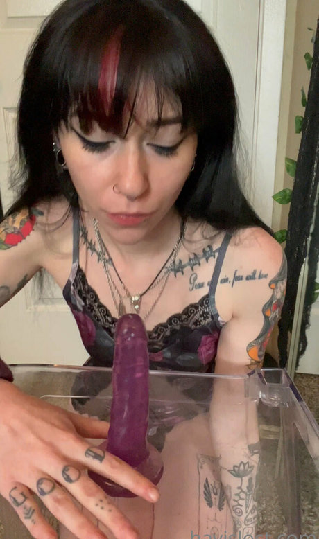 hayislost free heiße kostenlose galerien