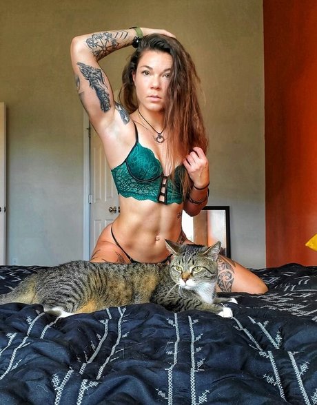 AmericanKat erwachsene freie foto