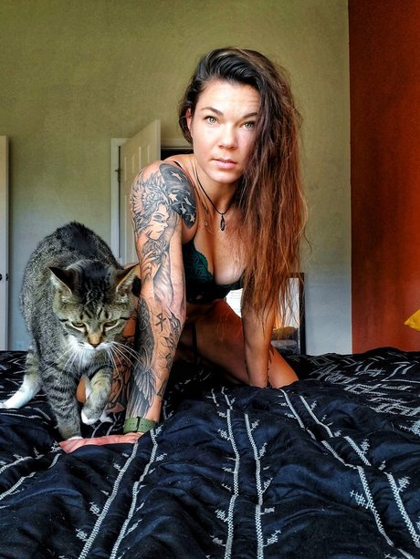 AmericanKat erwachsene sexy foto