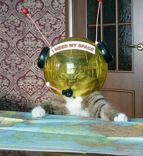 heffer hd nackte bilder