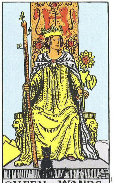 mollige kätzchen-onlyfans heiße perfekte galerie