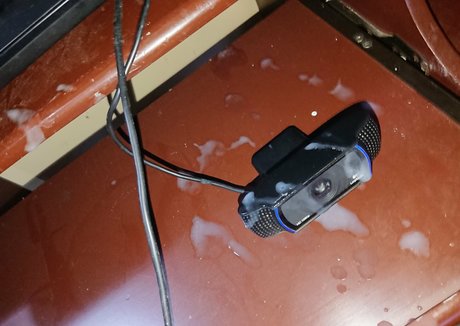 abigael sanchez kostenlose beste bild