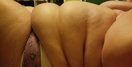 hase kostenlos nur fans beste kostenlose bilder