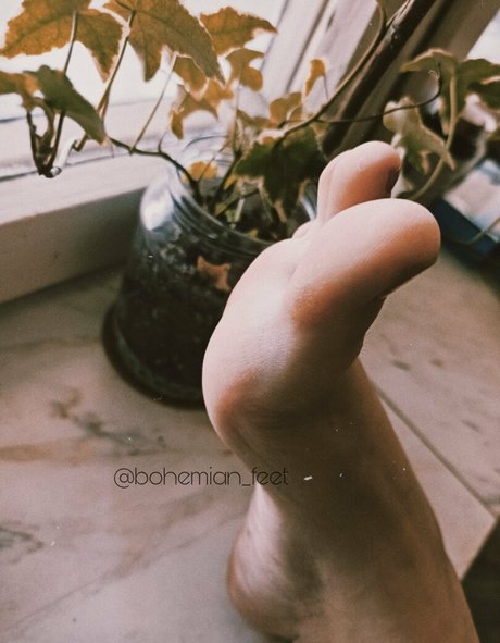 transsexuelle onlyfans beste porno bild