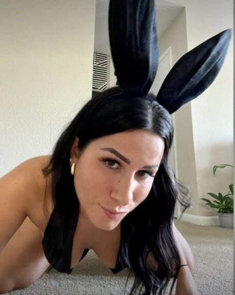 _lovekat beste perfekte galerien