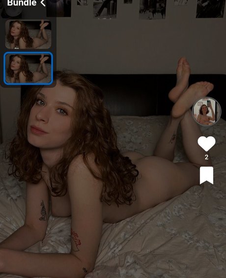 Siamodo beste bilder