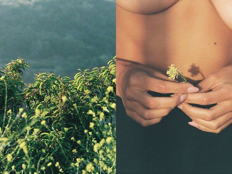 Alyssa Lynch kostenlose erwachsene bild