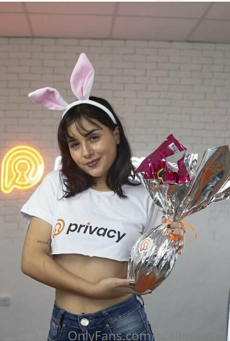 Maju Scallop erwachsene exklusive foto