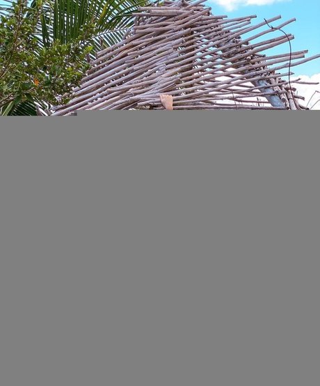 Thalita Nascimento beste exklusive galerien