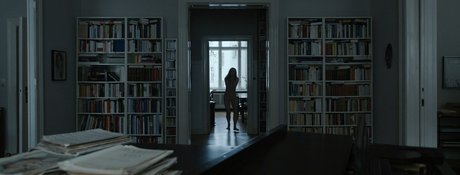 männlicher pornostar onlyfans freie pornographische bilder