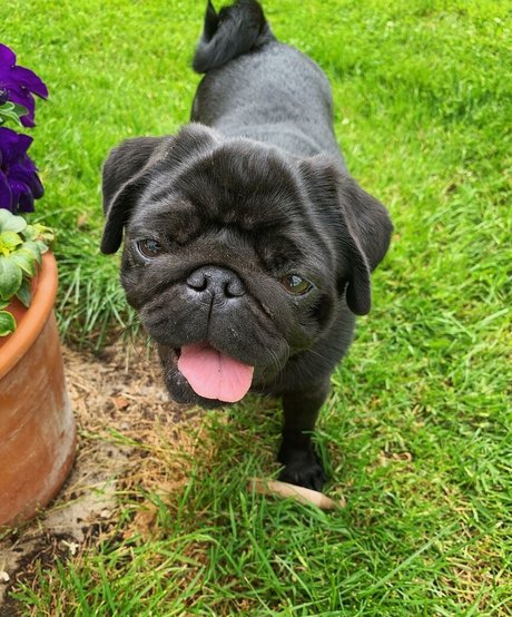 Emily Mather hd hübsche archiv