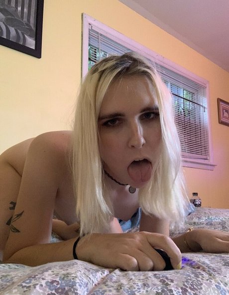 Aliss Disaster top kostenlose bild