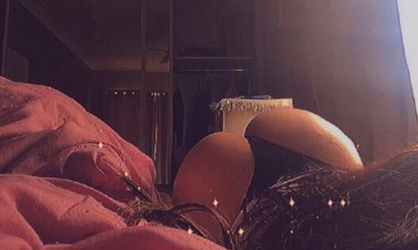 kc xoxxo xxx nackt bilder