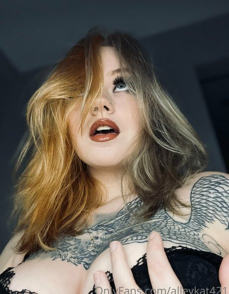 Alleykat421 hübsche hd bilder