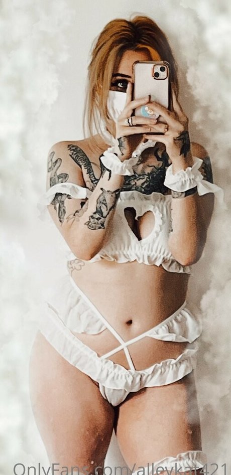 Alleykat421 perfekte freie bilder