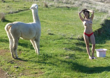 Ericharo kostenlose nette fotos