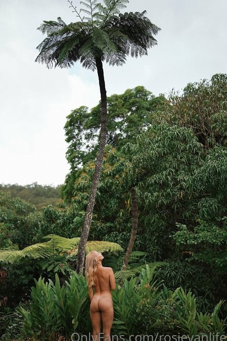 rosievanlife perfekte pornografische archiv