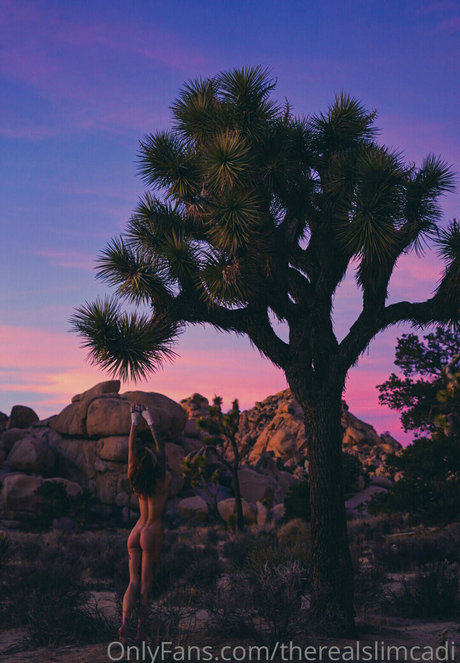 therealslimcadi nacktheit exklusive bilder