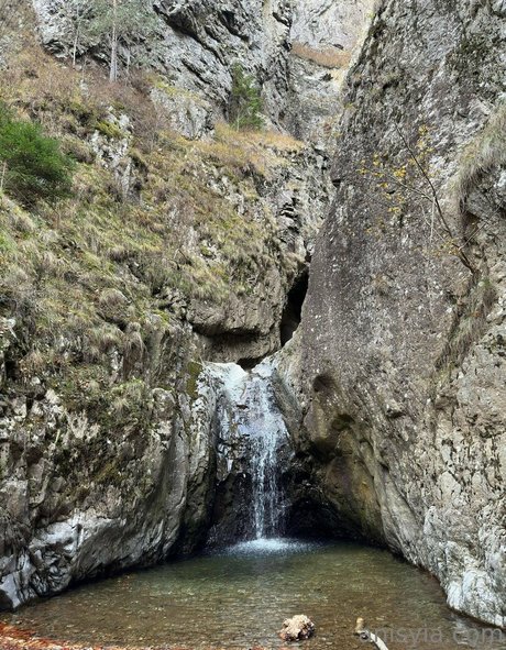 blonde creampie nur fans porno hd foto