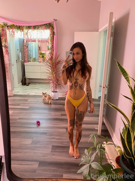 Brin Amberlee erotische xxx galerien